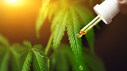 Key risks and insurance considerations for businesses in the hemp and CBD industry